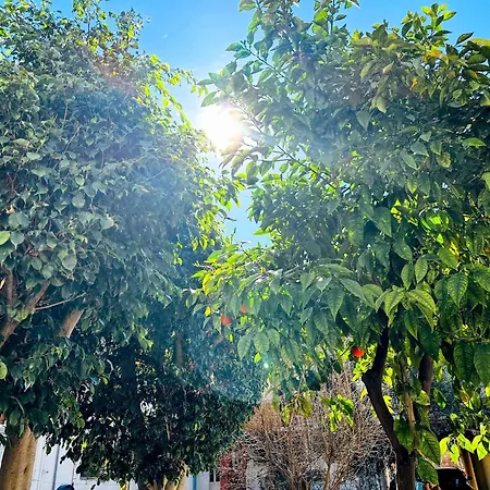 Matina At The Heart Of Old Town 1bd, Sleeps 4 * Chania (Crete)