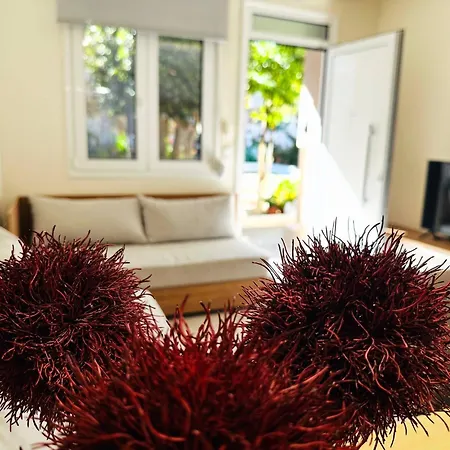 Matina At The Heart Of Old Town 1bd, Sleeps 4 Apartman