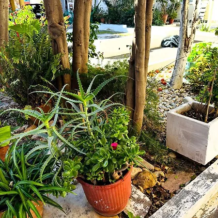 Matina At The Heart Of Old Town 1bd, Sleeps 4 Apartman Hriszí Aktí Haniá